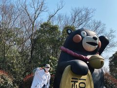 -上海海湾国家森林公园