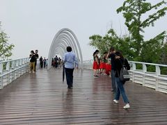 -大兴滨河森林公园