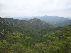 -大岭沟猕猴桃谷风景区