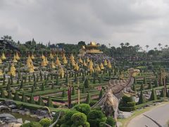 景点-东芭乐园