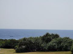 -鹅銮鼻公园