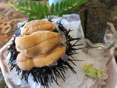 活海胆-炙柒Sekinana·精致料理 烧鸟·铁板烧(海上世界店)