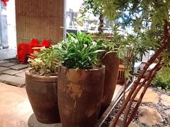 -老客家·客家菜(万达店)