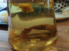 -探窝·竹笙椰子鸡(杨箕店)