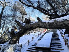 -水磨沟公园