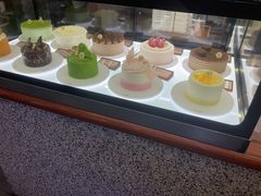 -野人先生Gelato(上海长宁龙之梦店)