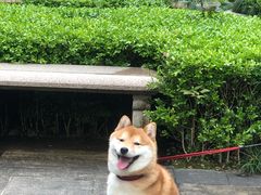 -蚝翅·海鲜粥·烧烤·龙虾季(海曙天一店)