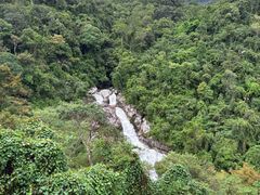 -海南热带雨林国家公园吊罗山景区