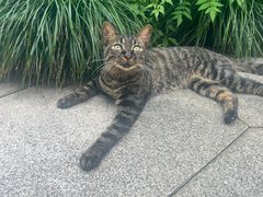 -杭州半山国家森林公园