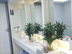 -悟空祛痘·诺奖技术专业店