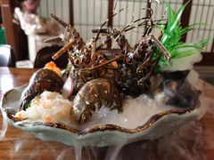 -尺山寸水日料(马桥满天星店)