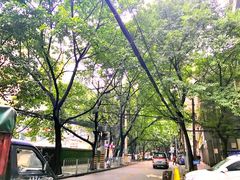 -蒋六十八梯眼镜面(渝中店)