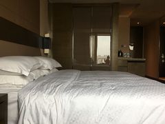 -扬州绿地铂骊酒店