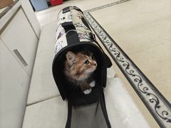 -宠颐生汉谟拉比宠物医院