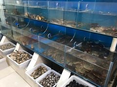 -宾朋海鲜特色美食餐厅·纯手工鲅鱼水饺(兴海路店)