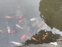 -两河城市森林公园