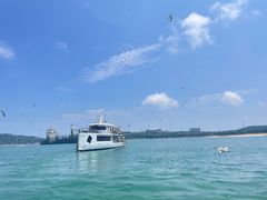 -海驴岛(荣成市)
