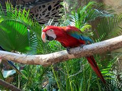 -杭州开元森泊度假乐园