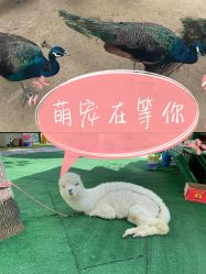 -萌宠亲子动物乐园(槐房万达店)