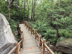 -大岭沟猕猴桃谷风景区