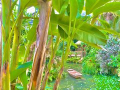 -华南国家植物园-售票处