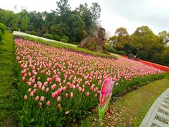 -上海鲜花港