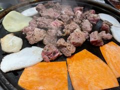 -杨小佳·齐齐哈尔烤肉·烤串(广州店)