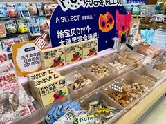 -帕帕拉兹宠物(亚洲旗舰店)