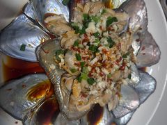 -全乐鱼馆·淳牌有机鱼直营店