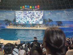 -泉城欧乐堡海洋极地世界