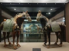 -西安大唐西市博物馆