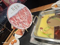 -渝福顺重庆火锅(雷锋路店)