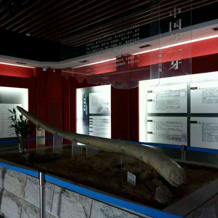 宝应博物馆-"朋友陪我一起来的,因为来扬州真的不知道玩.