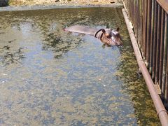 -海南热带野生动植物园