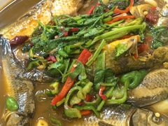 -杨辉饭店