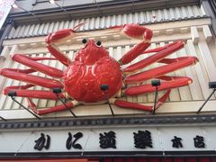 -蟹道乐(道顿堀本店)