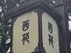 -西苑公园