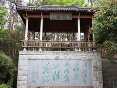 -千岛湖东南湖区