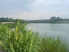 -东郊湿地公园