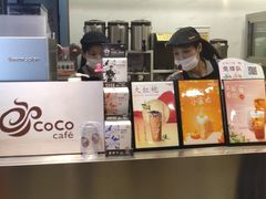 -CoCo都可(骆家庄新店)