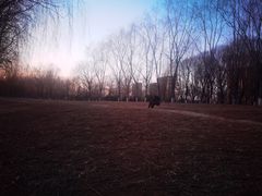-东坝千亩湖公园