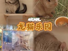 -龙猫仔乐园(惠福东路店)