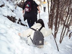 -大觉寺-停车场