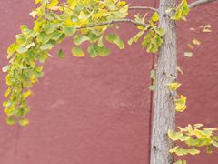 -中央广播电视总台(光华路办公区)