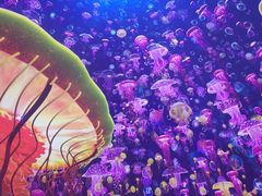 -海合安青岛极地海洋公园