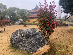 -海天禅寺