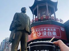 -黑色经典臭豆腐·湖南特产(潇湘文化店)