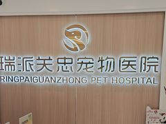 -瑞派·关忠动物医院·猫专科·犬专科(三环新城店)