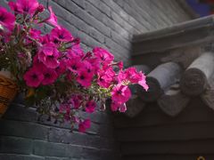 -长安寺