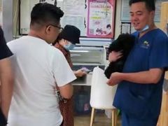 -A猫a狗全科·犬猫异宠·芥西宠物医院(南开总院)